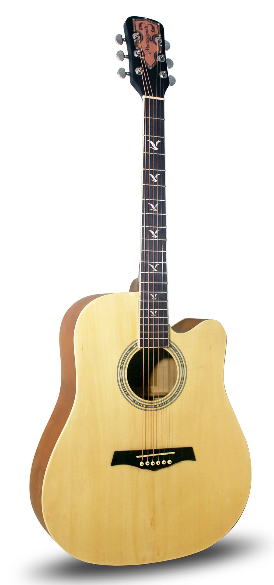 Acoustic Guitar Pack